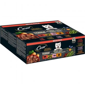 Cesar Natural Goodness Terrina Mix 48 x 100 g