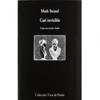 Casi invisible