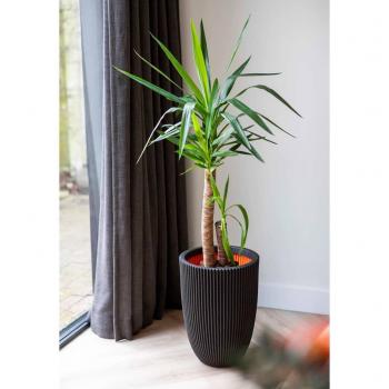 Jarrón elegante Groove negro 34x46 cm Capi