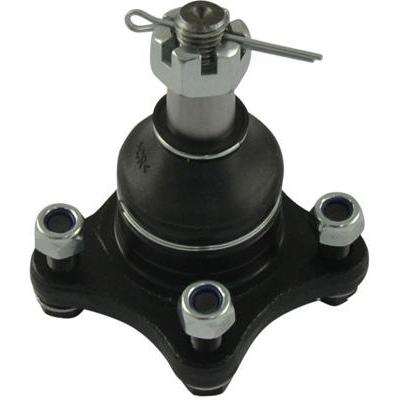 Imagen Principal
