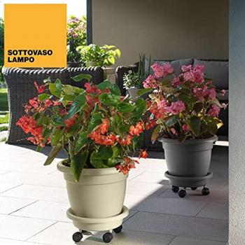 Platillo para Maceta con Ruedas Antracita Ø 33 cm