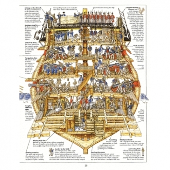 Cross-Section: Man O'War