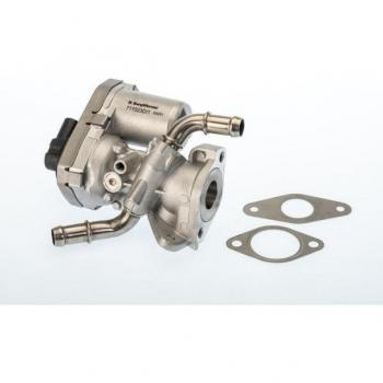 Válvula EGR BorgWarner Wahler 711023D