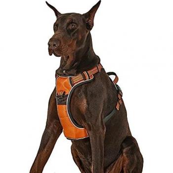Lesure Arnés Perro Antitirones Extra Grande - Arnés Pecho Perro Ajustable y Transpirable con Líneas Reflectantes, Chaleco Perro Antiescape para Adiestramiento, Pechera Perro Cómodo, Naranja, XL