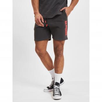 Alpha Industries Men's RP Vintage Grey Shorts S-XXL