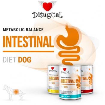 Disugual Comida Húmeda Intestinal de Pollo para Perros