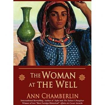 La Mujer en el Pozo - Novela de Ann Chamberlin