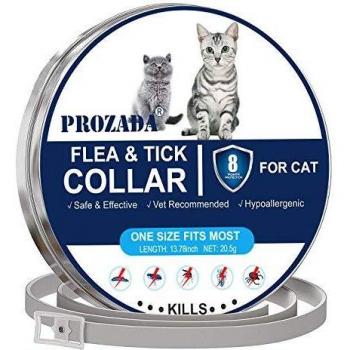 PROZADA Collar Antiparasitario para Gatos, 8 Meses de protección Stop Bichos y picazón, gregado con Aceites Naturales, Tamaño Ajustable e Impermeable
