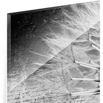 Cuadro de cristal - Dandelion Black & White - Apaisado 2:3, mural acristalado,mural de pared,decoración para pared,decoración,cristal,impresión en cristal,mural de pared de cristal,fotomural de cristal, impresión sobre cristal, Tamaño: 40cm x 60cm