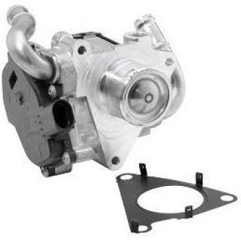 Válvula EGR BorgWarner Wahler 72147559D