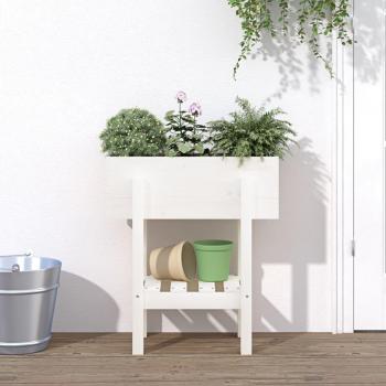 Jardinera de madera maciza de pino blanco 62x30x69 cm - Color Pino natural, Pino blanco, Pino gris y más