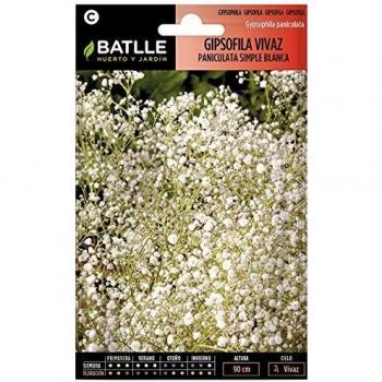 Semillas de Flores - Gipsofila vivaz Paniculata - Batlle