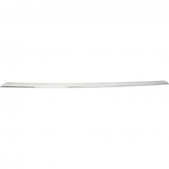 Listón embellecedor/protector BLIC 5513-00-0063926P y panal de radiador PRASCO BM0281235