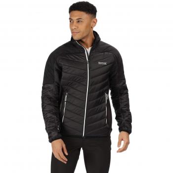 Regatta Halton III Chaqueta ligera de alpaca con aislamiento de lana repelente al agua para hombre, Hombre, Chaquetas acolchadas, RMN136 82690, negro / negro, XXL