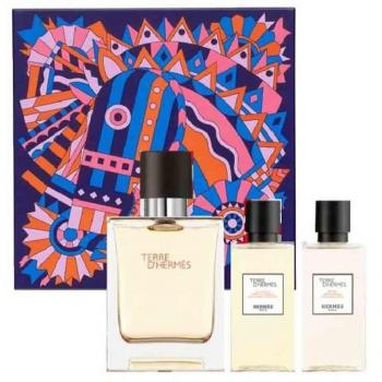 Eau de Toilette Terre d'Hermès 50mL para Hombre - Kit con Desodorante y After Shave