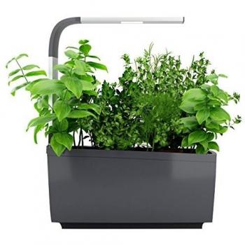 Tregren LED Huerto, Gris, T6 : 6 plantes