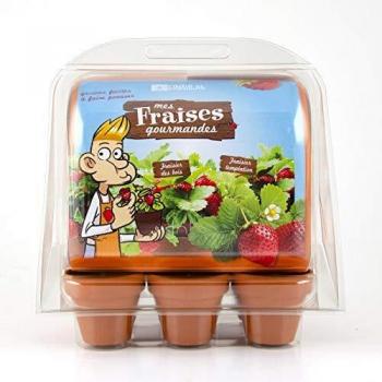 RADIS ET CAPUCINE Serre 6 Pots FRAISIERS