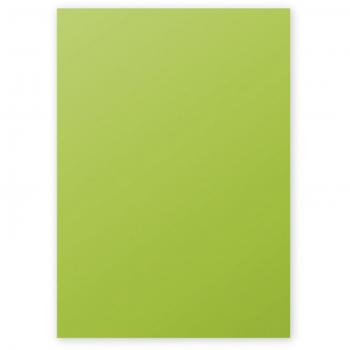 Papel Clairefontaine Pollen A4 120g Verde Menta 50 Hojas
