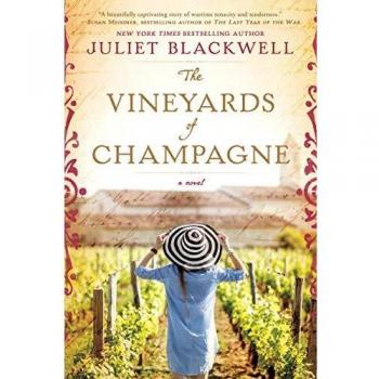 The Vineyards Of Champagne