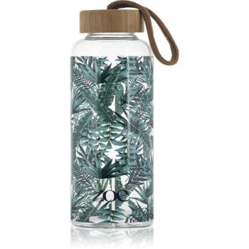 ZOE 550 ml Tropic Green Bamboo Glass Water Bottle