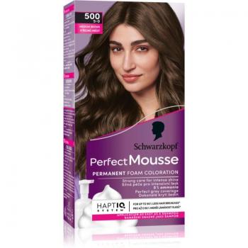 Schwarzkopf Perfect Mousse 0% Ammonia Permanent Hair Dye, Shade 500 Medium Brown