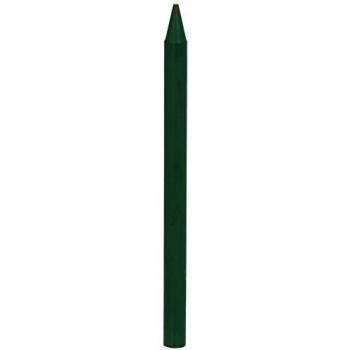 BIC Kids Ceras Plastidecor - Pack de 25 ceras, color verde oscuro