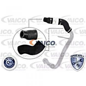 Vaico V42-0598 Compartimentos de Motor