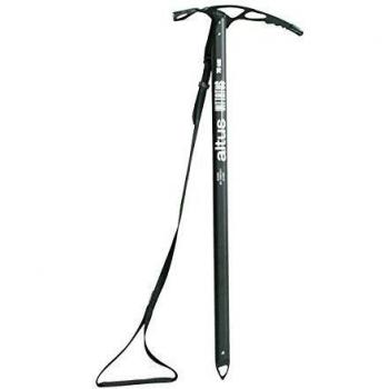 PIOLET VITTATUS 70 -C: 006 T: U