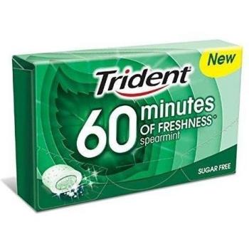 Trident 60 Minutos Hierbabuena- Chicles sin Azúcar con Sabor a Hierbabuena - Paquete de 16 Envases 20 g