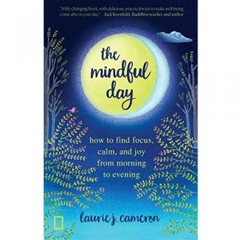 The mindful day practical ways to find focus build energy and create joy 247