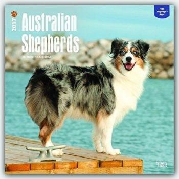 Australian Shepherds - Australische Schäferhunde 2017 - 18-Monatskalender mit freier DogDays-App: Original BrownTrout-Kalender