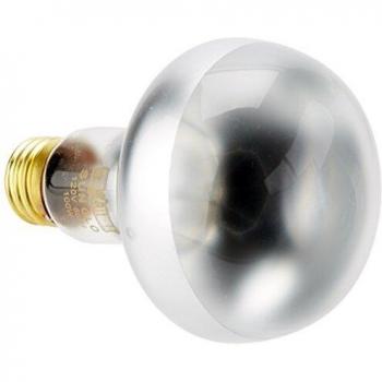 EXO TERRA Foco Directo Sun GLO, 100 W