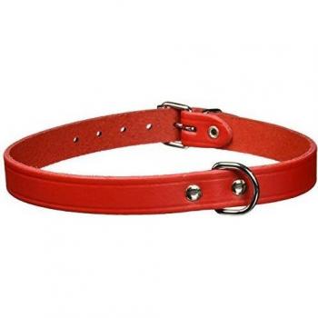 Trixie Collar básico
