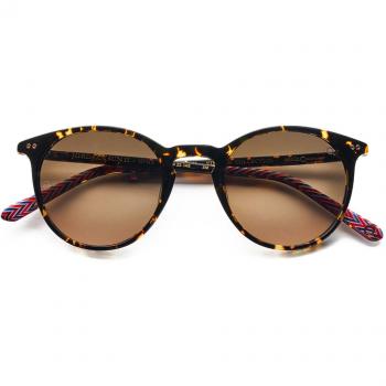 Etnia Barcelona Jordaan Sun II Tortoiseshell Men's Sunglasses 50mm