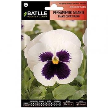 Semillas de Flores - Pensamiento Gigante blanco corazón negro - Batlle