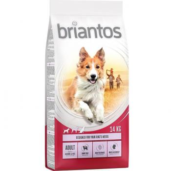 Briantos Adult Sensitive Salmon & Rice Dry Dog Food - 14 kg