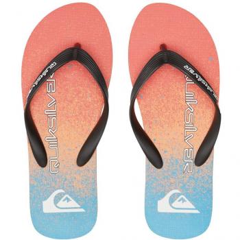Chanclas de hombre Molokai Art Quiksilver