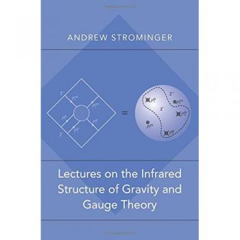 Lectures on the Infrared Structure of Gravity and Gauge Theory