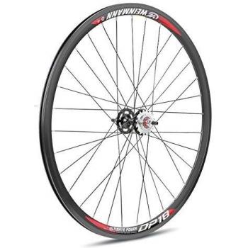 Rueda Trasera Pista DP-18 Negra 16 Dientes con Rodamientos Tubulares 700mm 9x130mm
