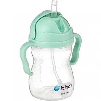 Blueberry Sippy Cup