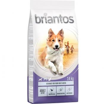 Briantos Dry Dog Food - Bulk Pack - Adult Sensitive Chicken & Rice (2 x 14 kg)