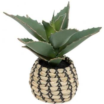 Planta Artificial Samurai Pio en Maceta Tejida a Mano H 26 cm