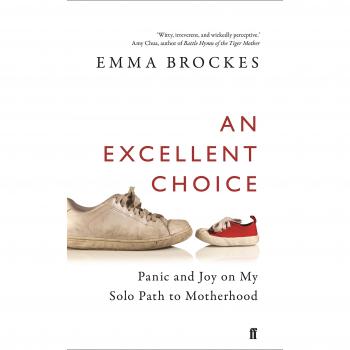 An Excellent Choice