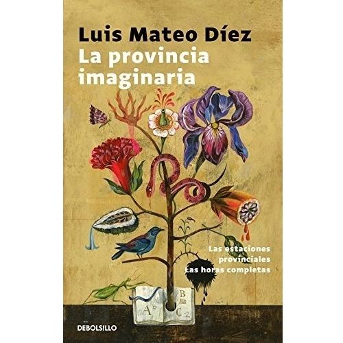 Imagen Principal