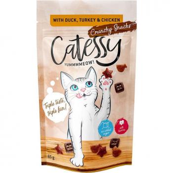 Catessy Crunchy Snacks for Cats - Economy Pack 15 x 65g - Duck, Turkey & Chicken