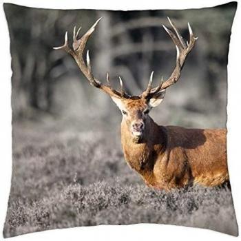 Ciervo en el holandés Veluwe - Funda de almohada manta