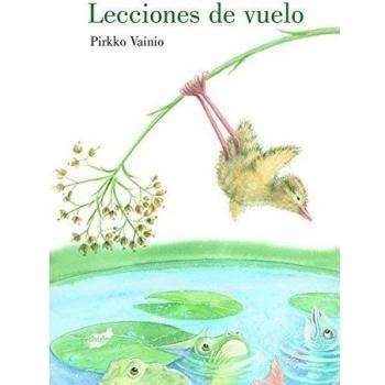 Lecciones De Vuelo