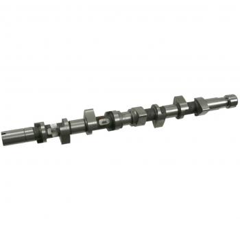 febi bilstein 21987 Camshaft, pack of one