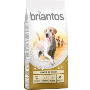 Briantos Dry Dog Food - Value Pack - Adult Maxi Chicken & Rice (2 x 14 kg)