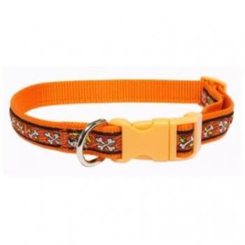 Collar Bully Nylon 20x35cm Naranja